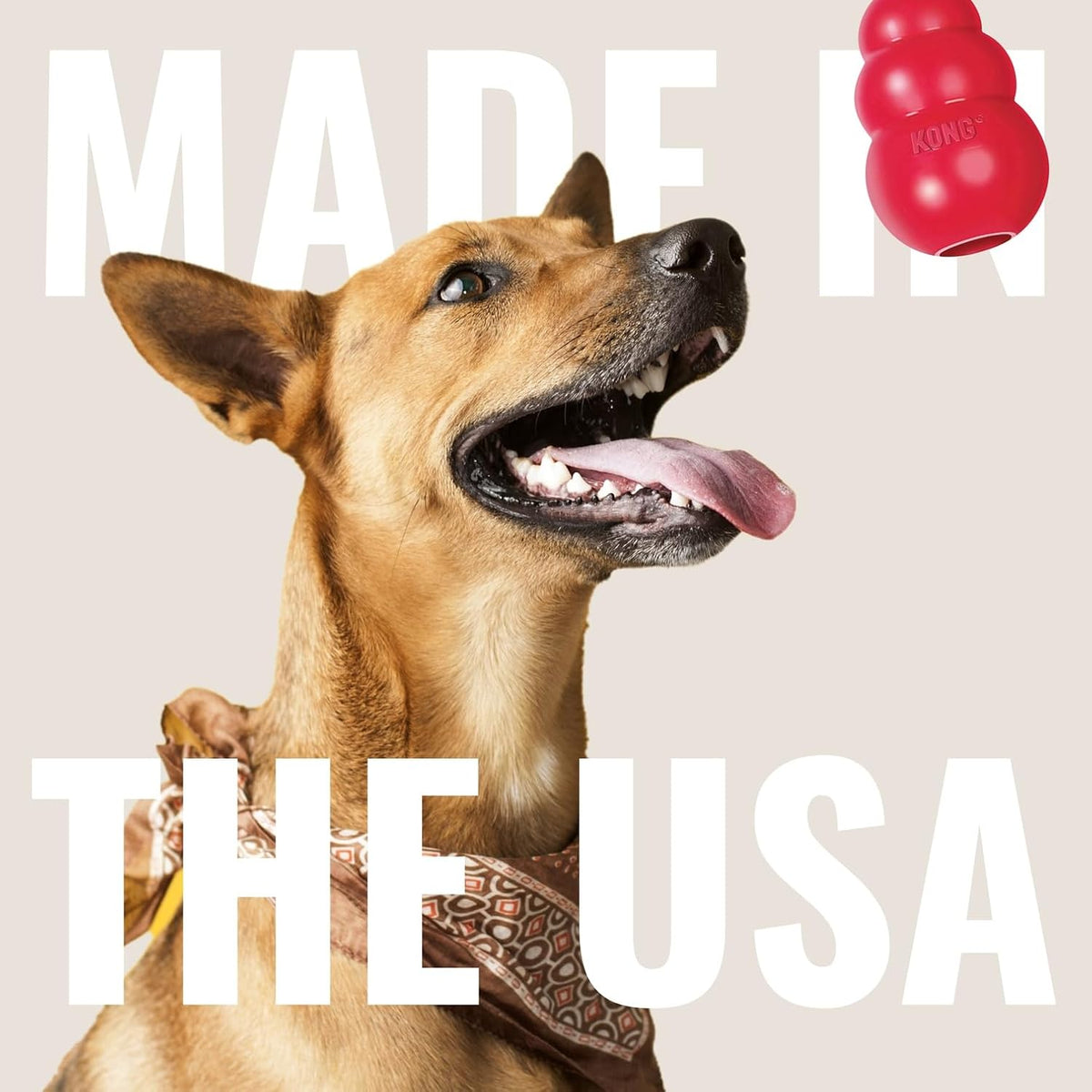 Ring, Natural Rubber Chew Toy for Dental Health, for Extra Large Dogs