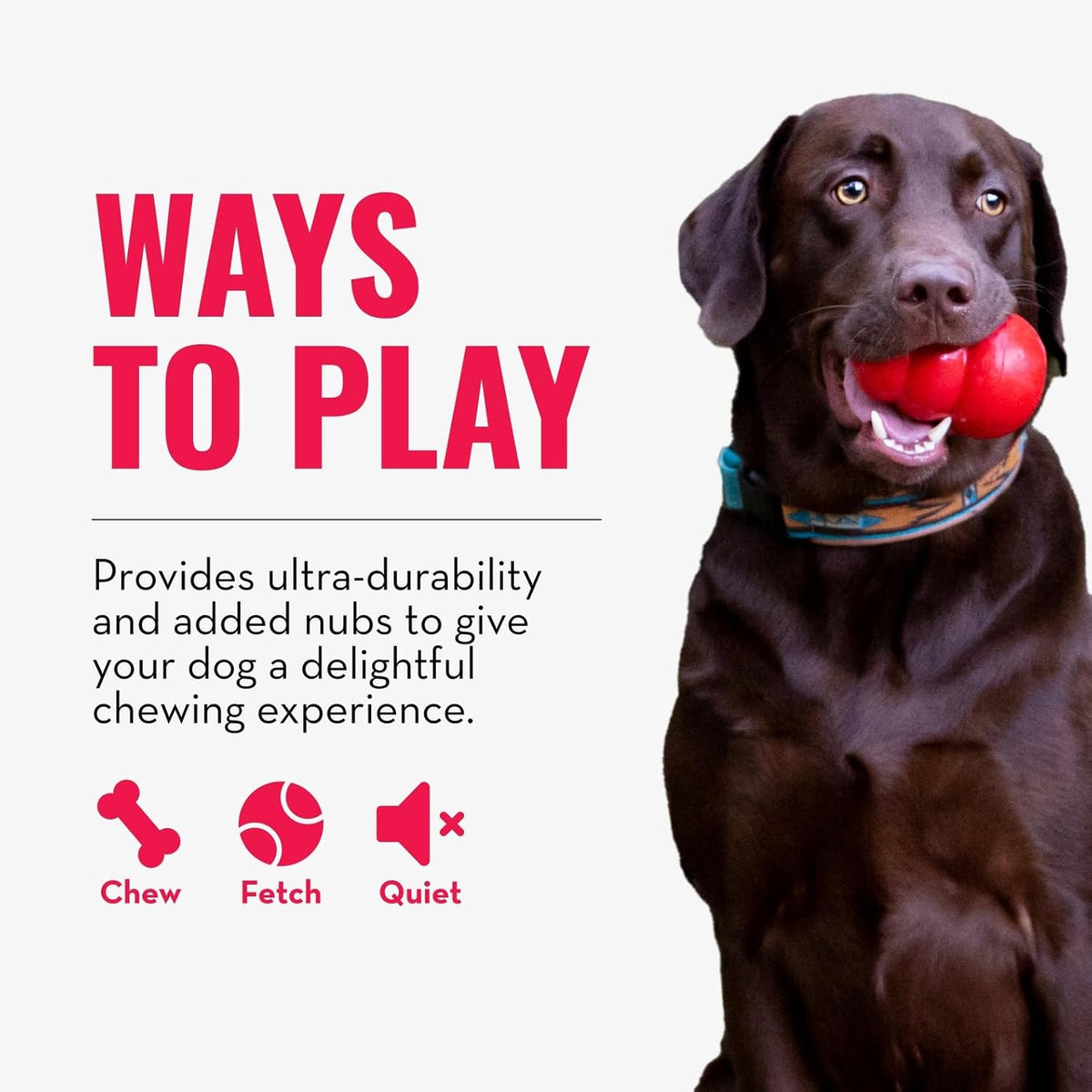Ring, Natural Rubber Chew Toy for Dental Health, for Extra Large Dogs