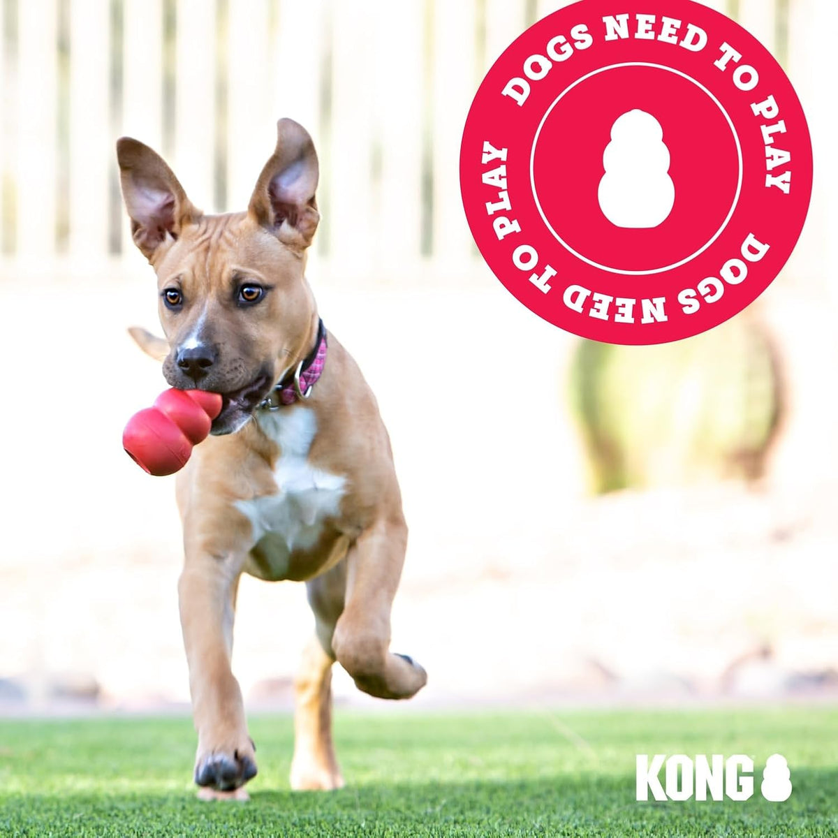 Ring, Natural Rubber Chew Toy for Dental Health, for Extra Large Dogs