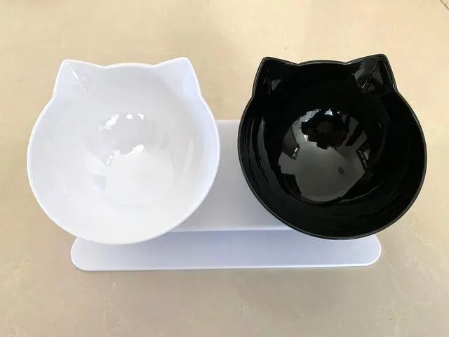 Best Elevated Cat Bowls