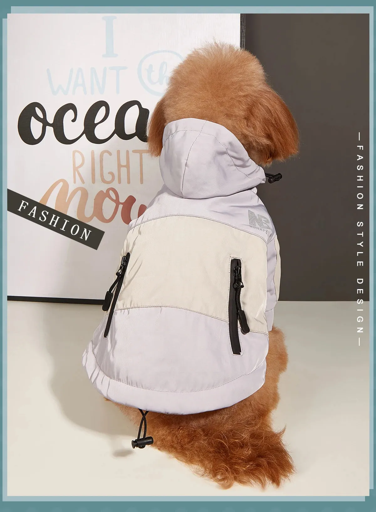 Cozy Dog Sweaters for Winter Fun
