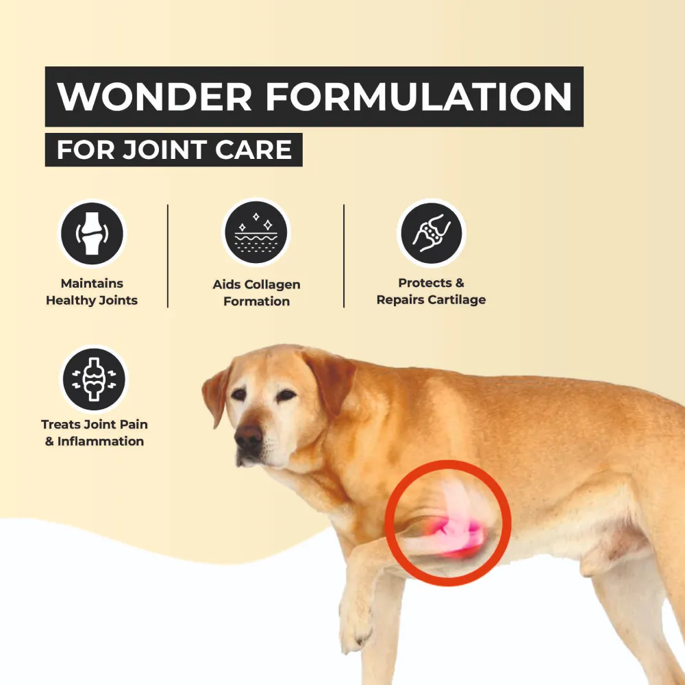 FurBall Story Jump O Joint Care tablets for Dogs and Cats